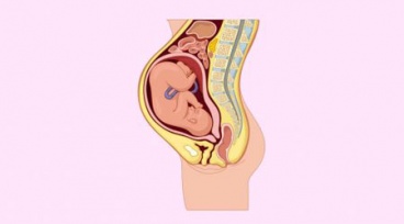 Hacer clic para ampliar Charla Informativa y Gratuita sobre el Posgrado de Reflexología y Maternidad en Plenitud